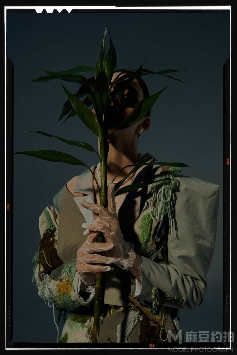 宝丽来模特