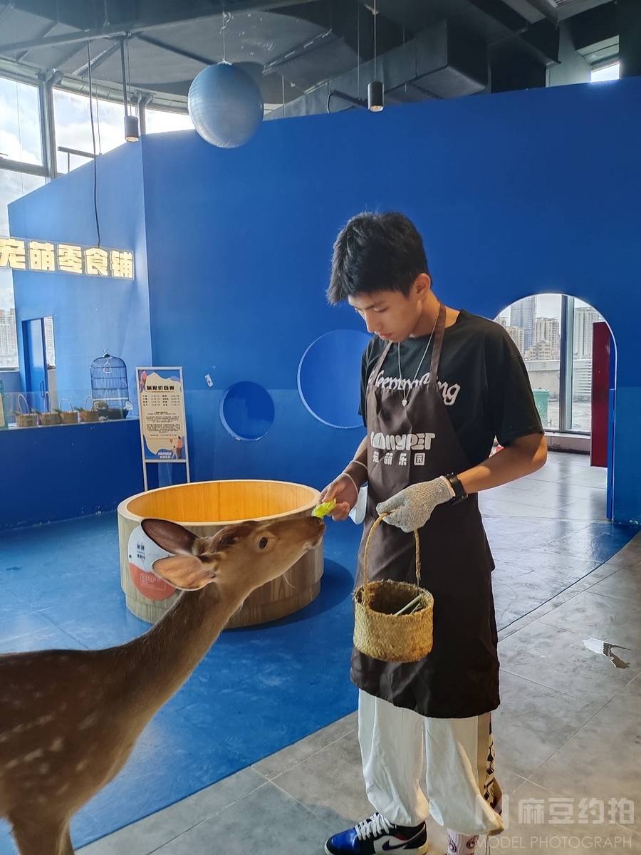 商务模特