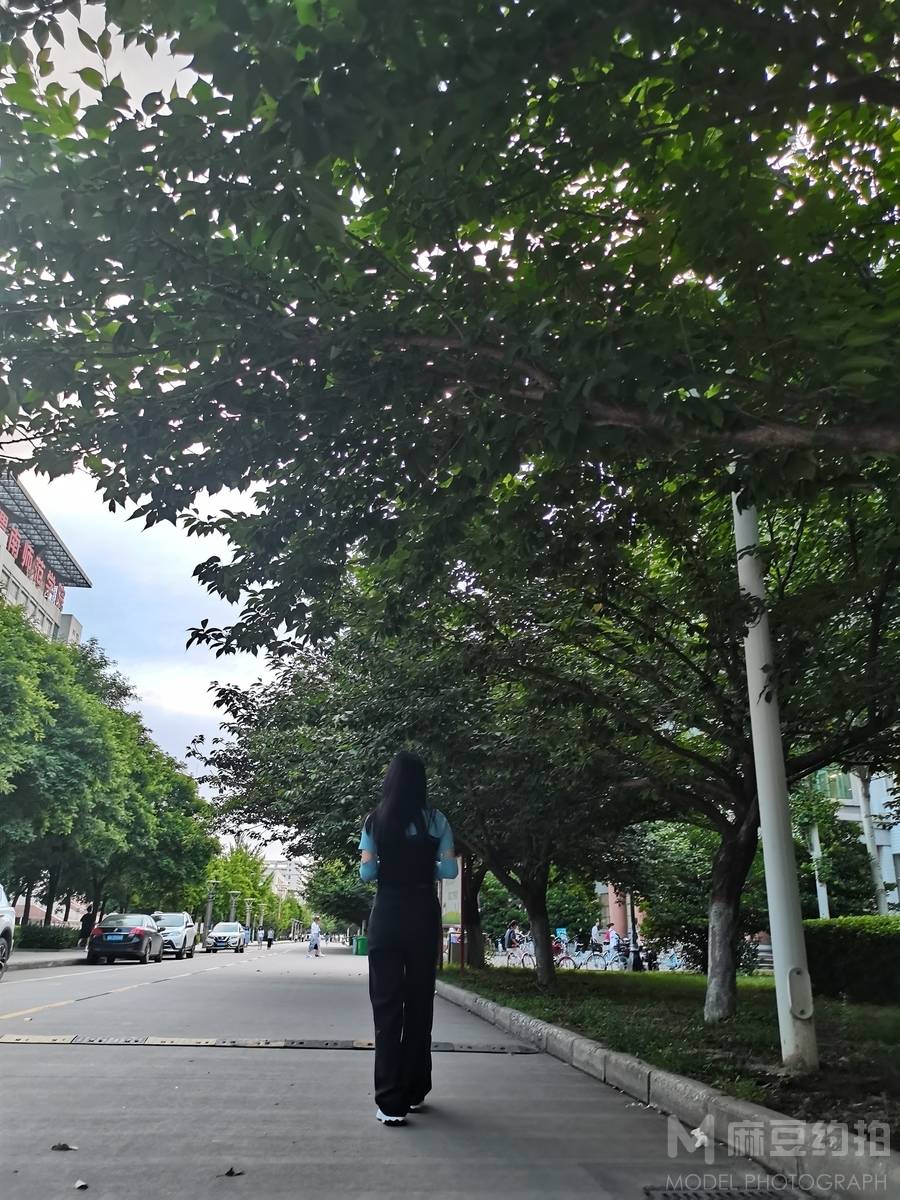 校园模特