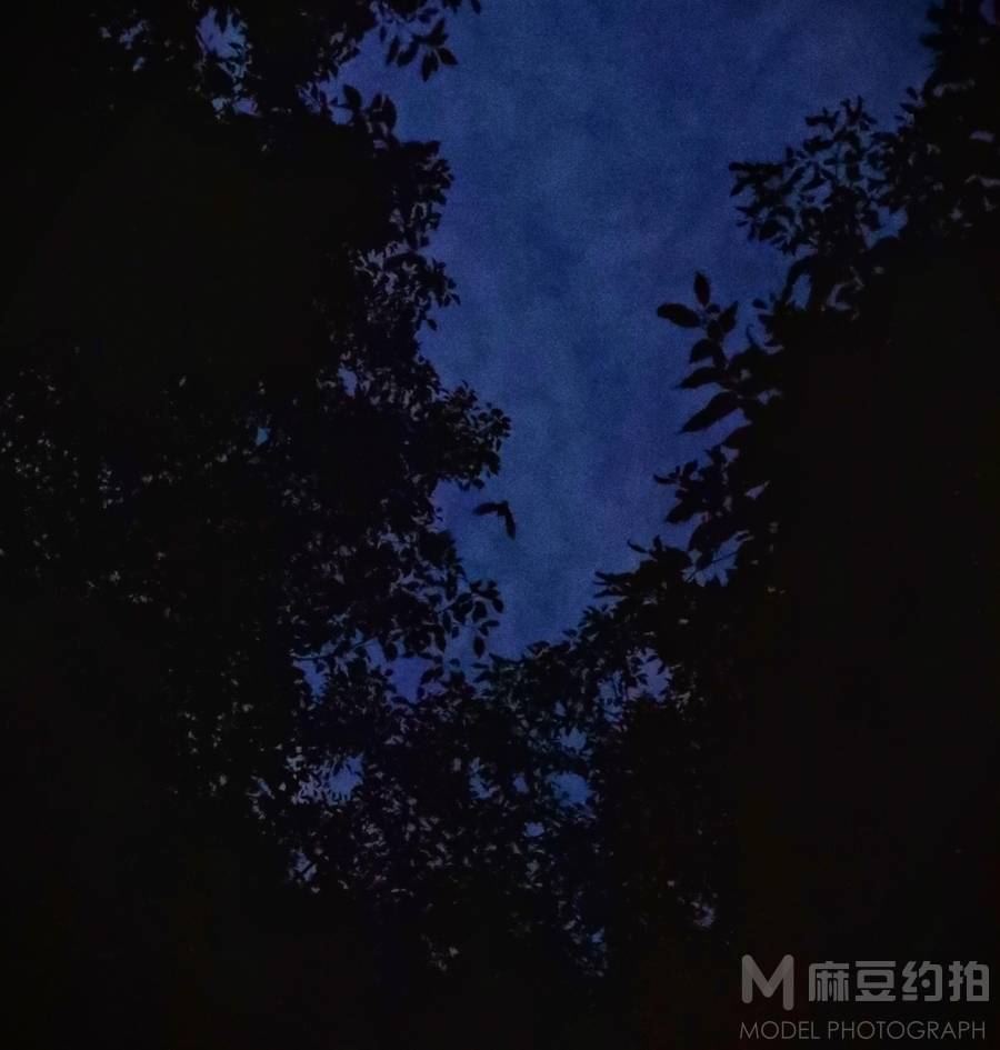 纪实模特