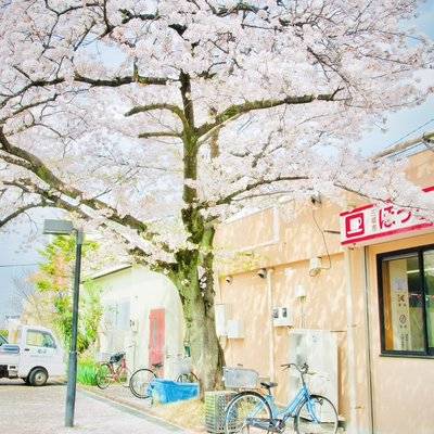 日系模特