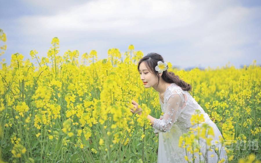 清新模特
