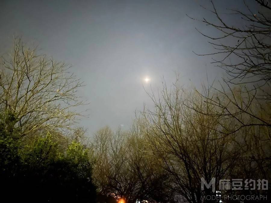 纪实模特