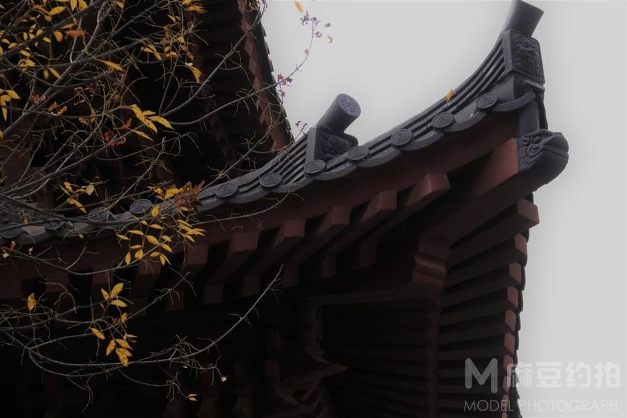 纪实模特