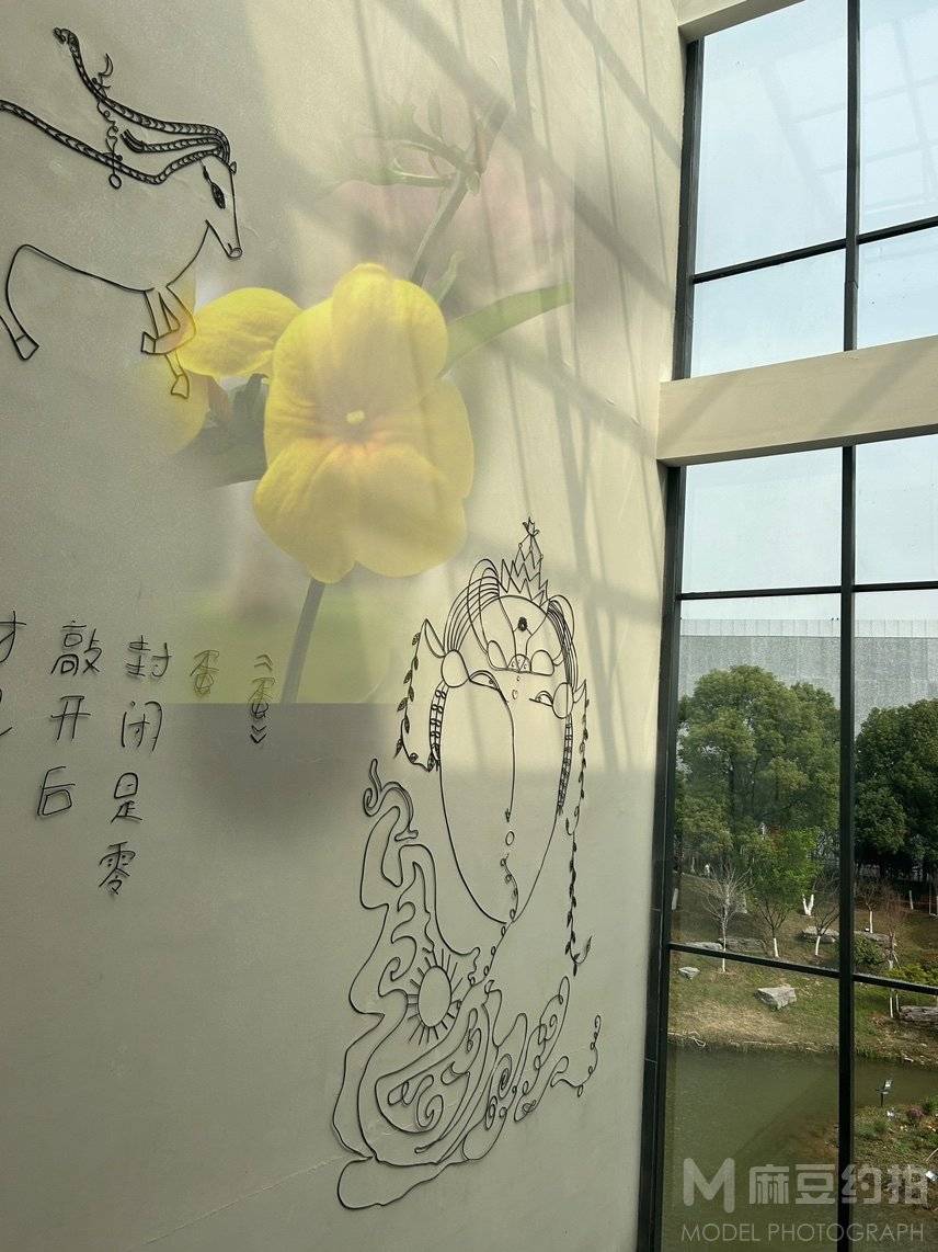 纪实模特