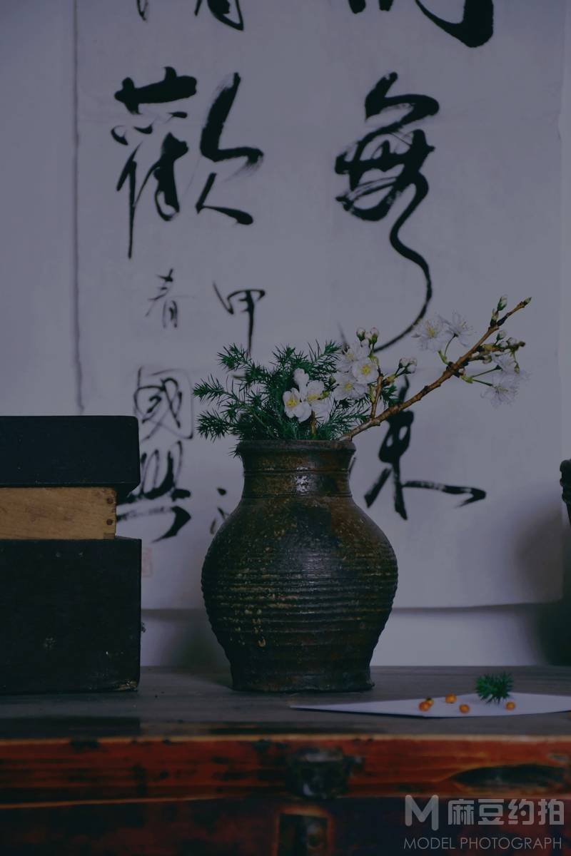 纪实模特