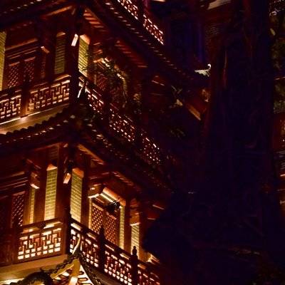夜景模特