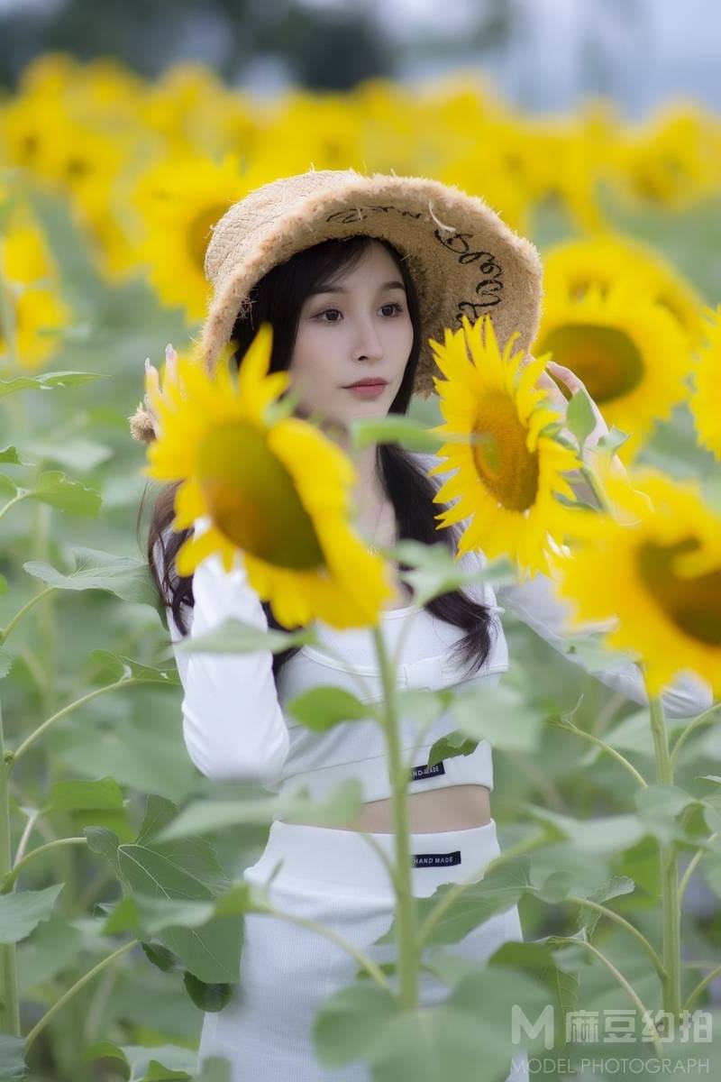 清新模特