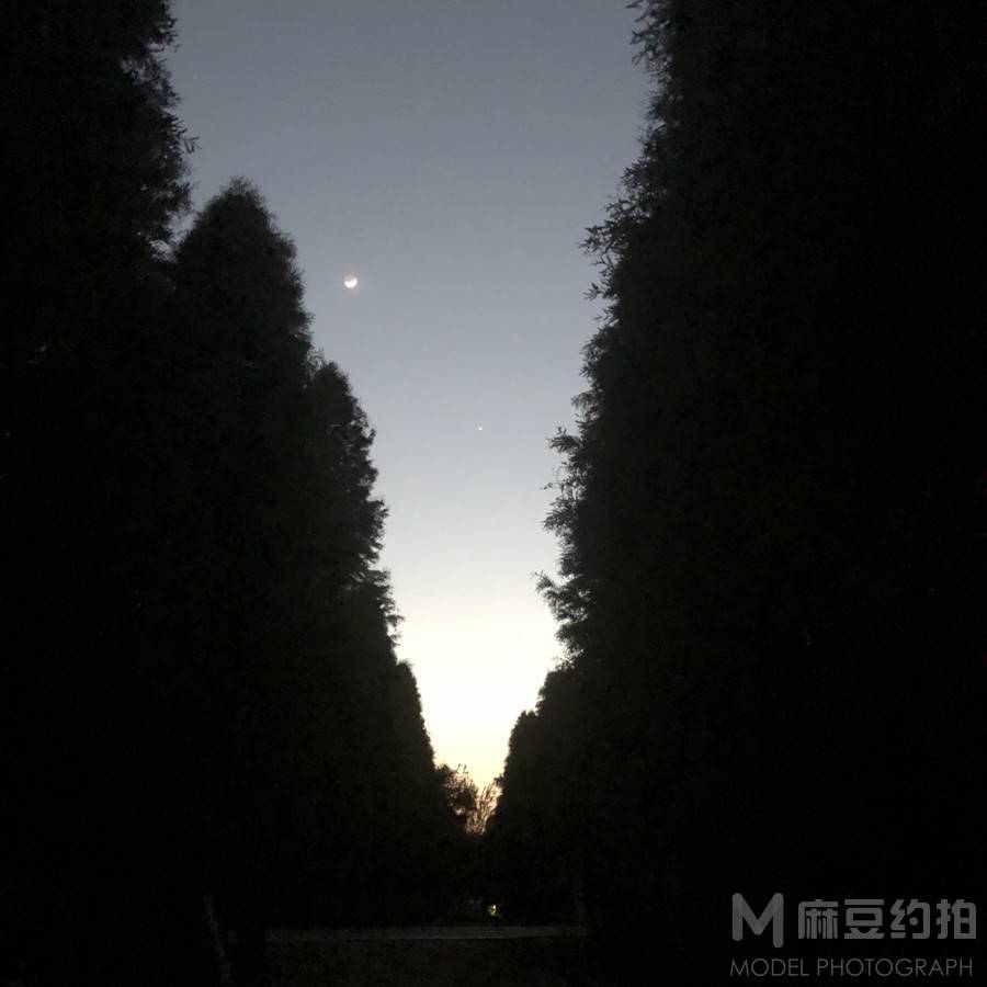 夜景模特