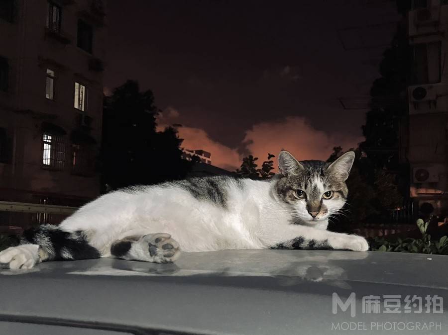 纪实模特