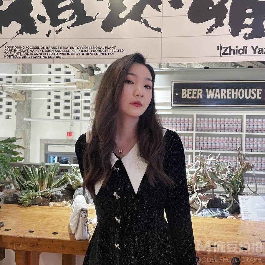 商务模特