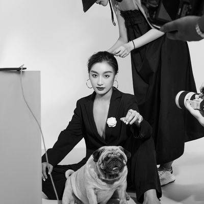 孕照模特