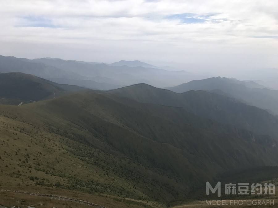 纪实模特