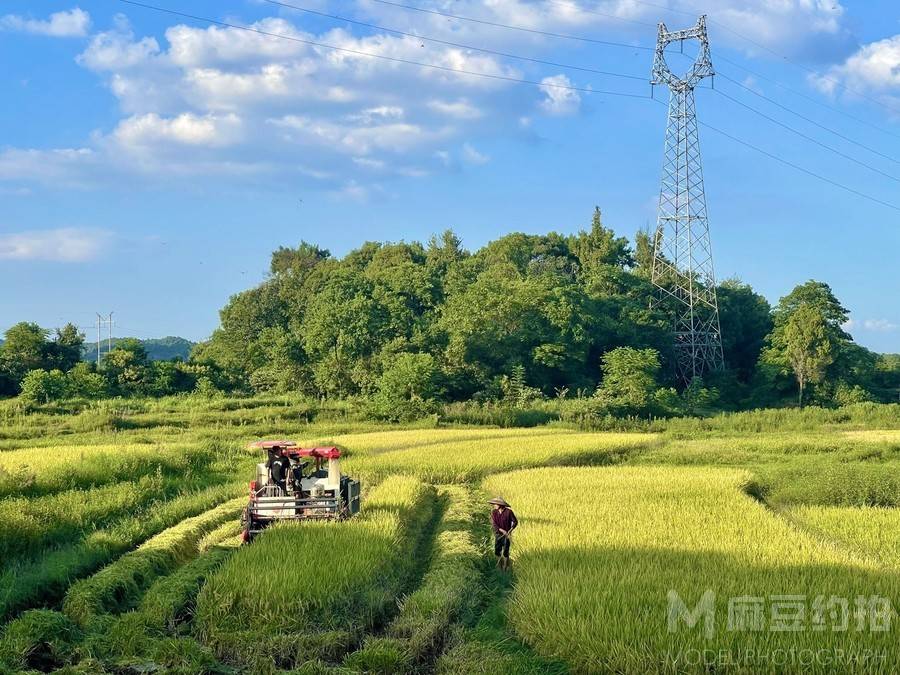 纪实模特