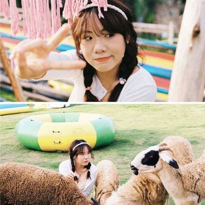 胶片模特