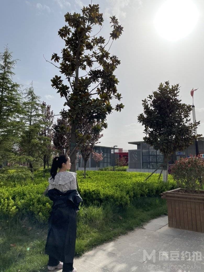 校园模特