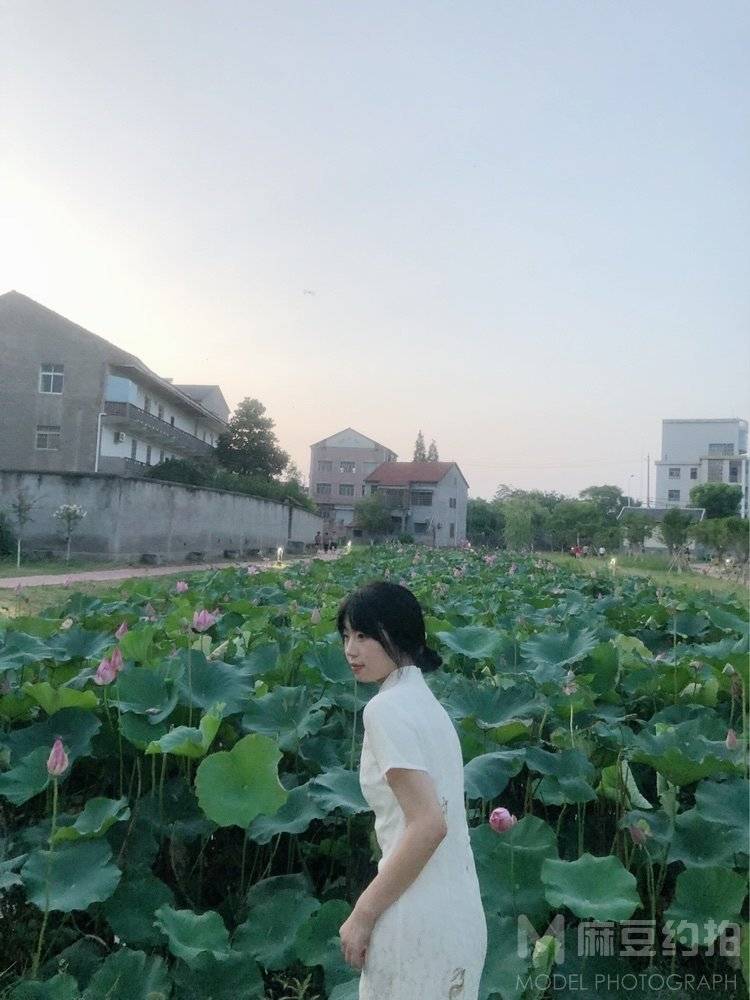 清新模特