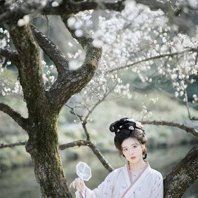 古风模特
