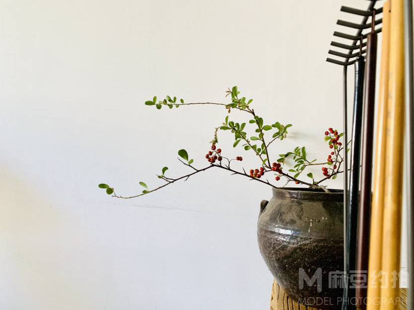 纪实模特