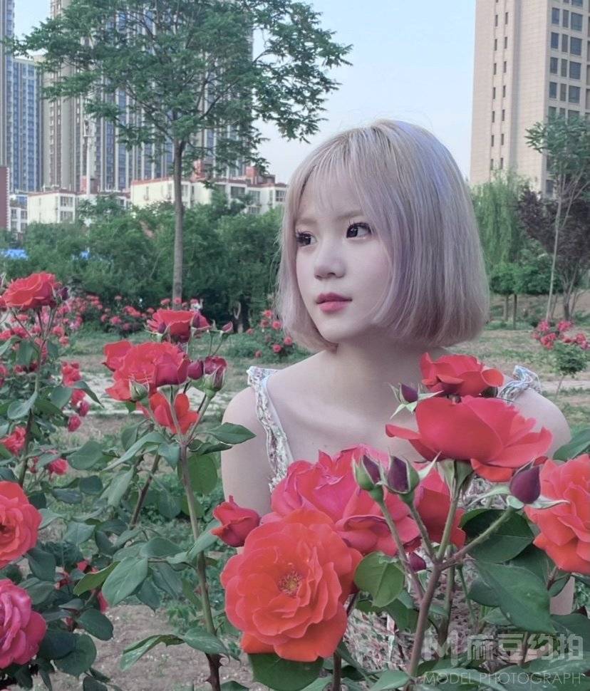 韩系模特