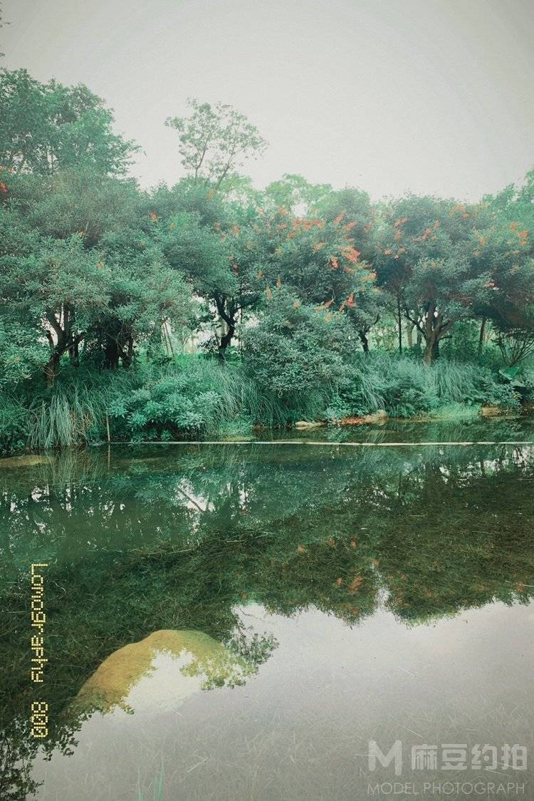 胶片模特