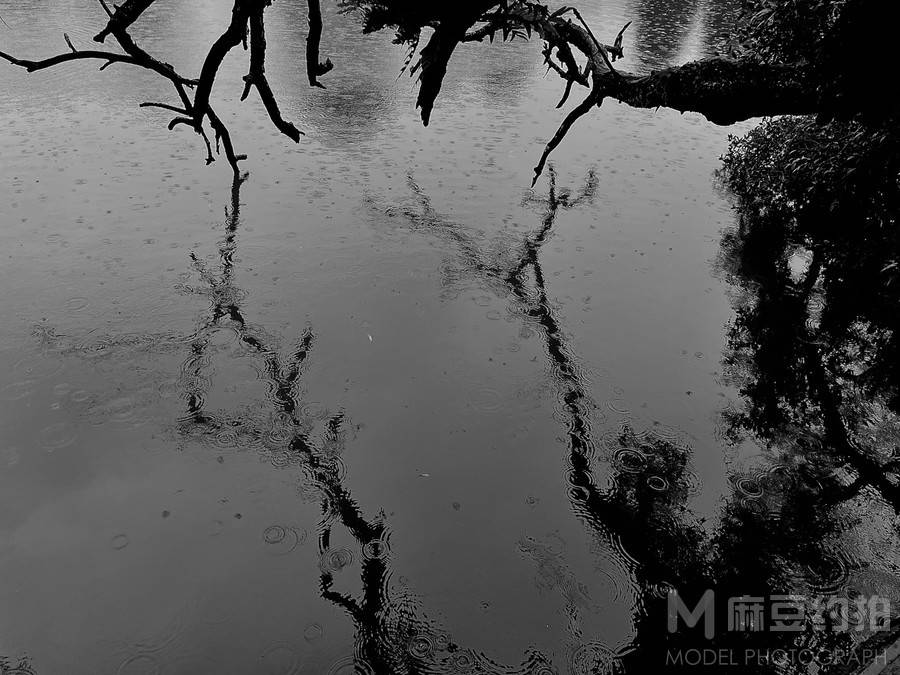 黑白模特