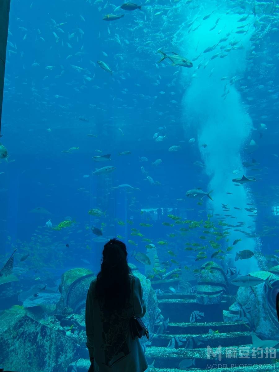 宝丽来模特