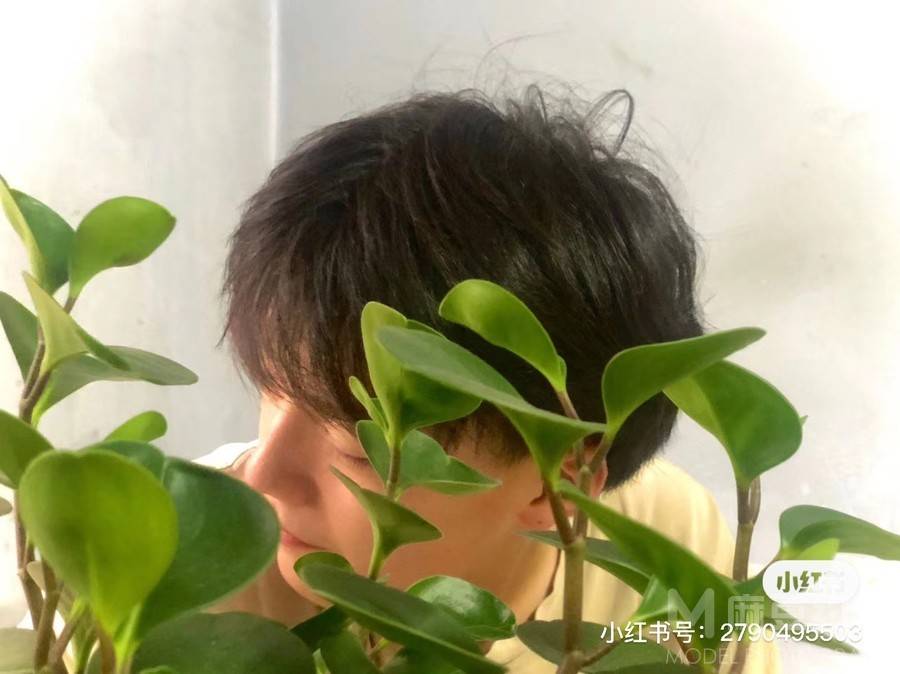 纪实模特