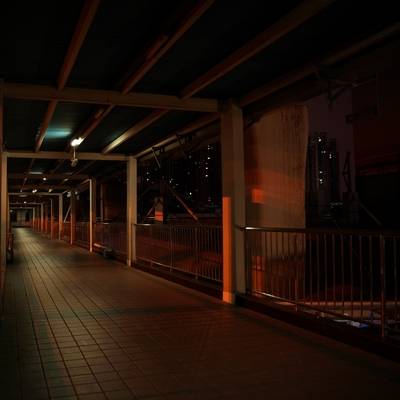 夜景模特