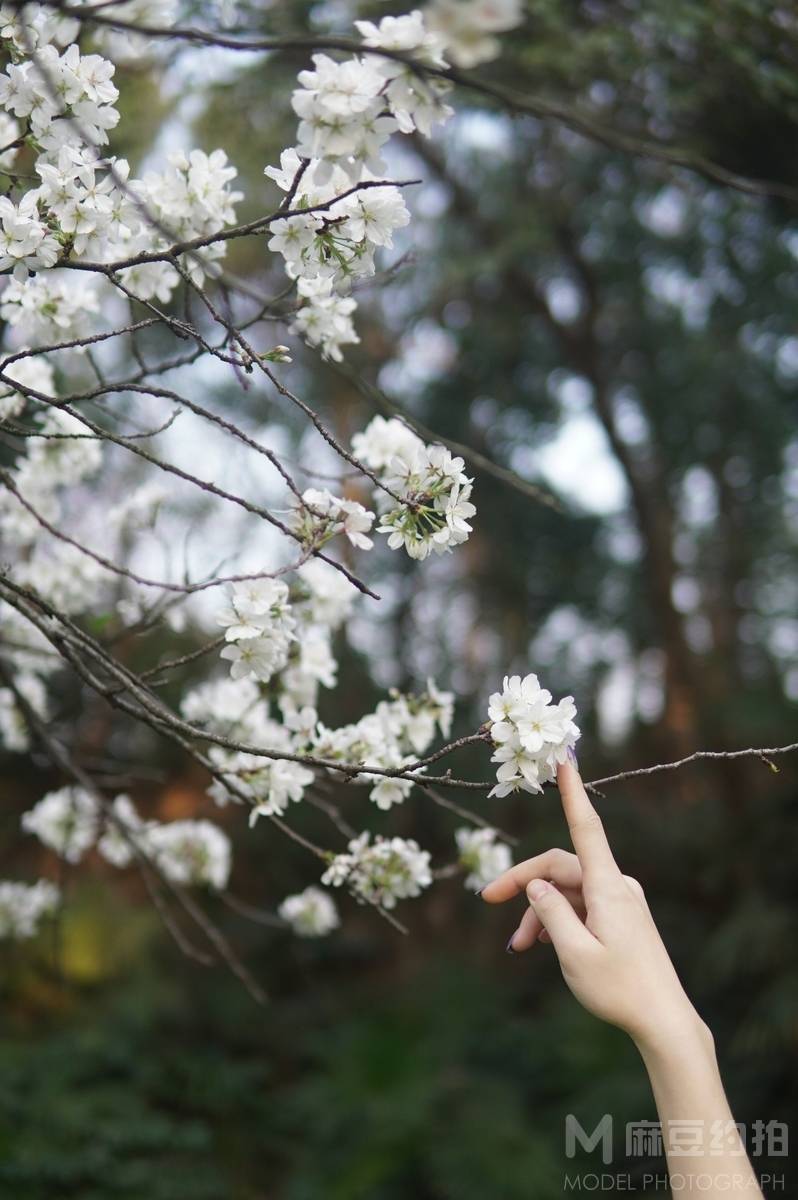 森系模特