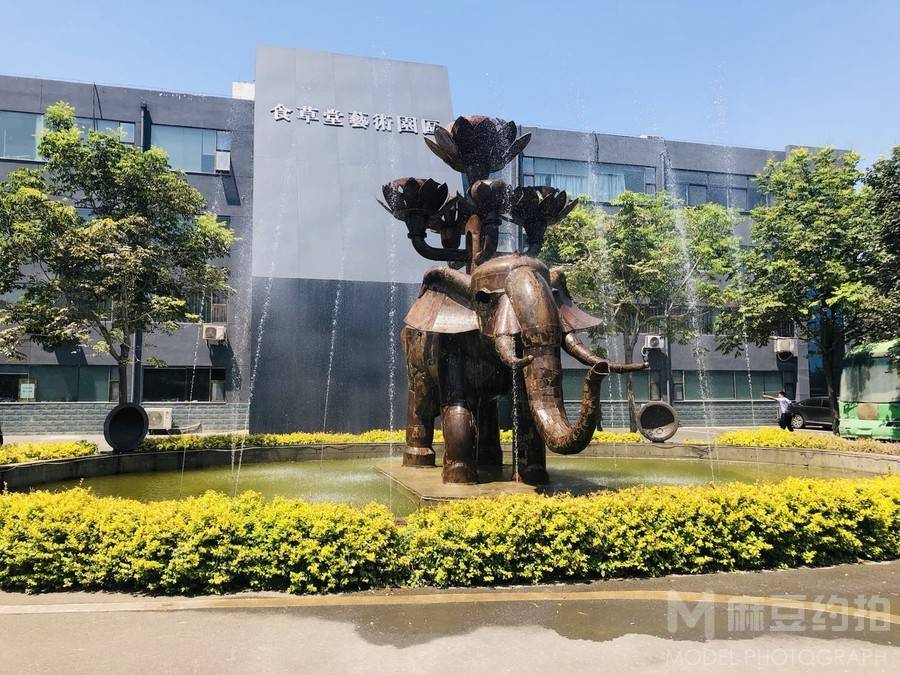 胶片模特