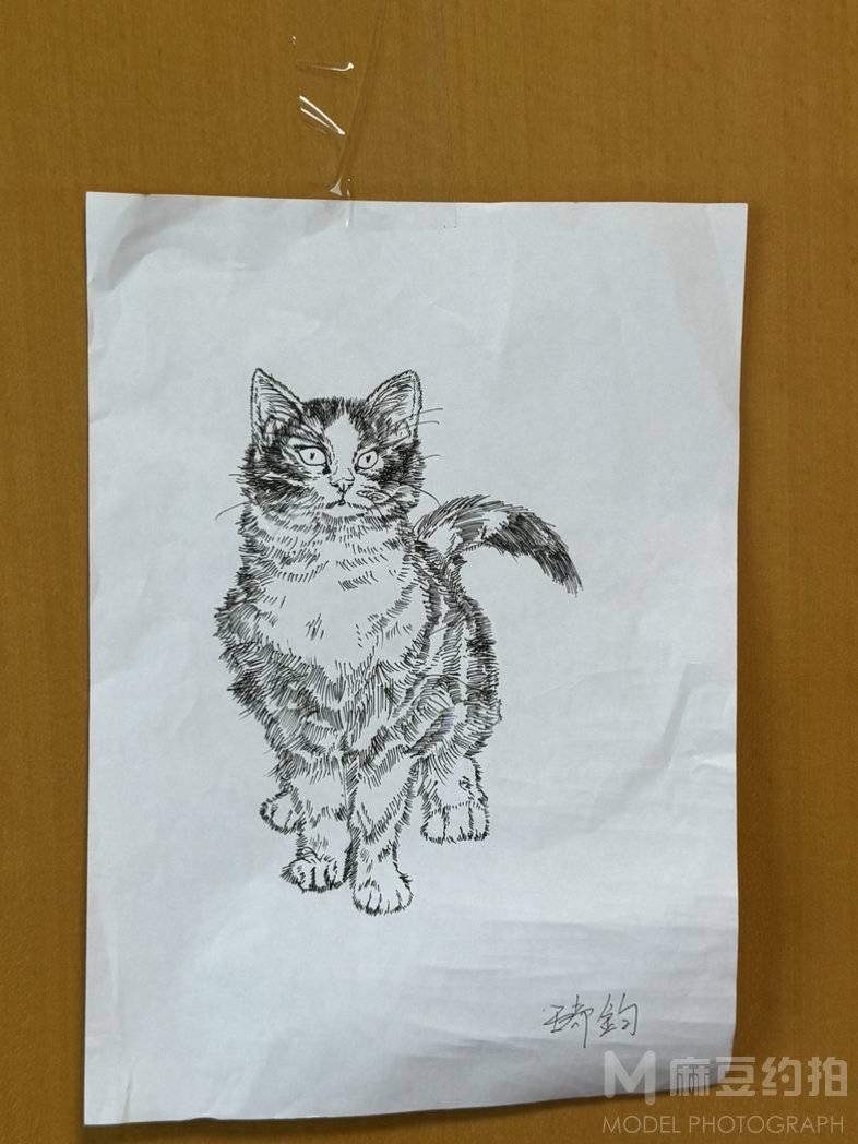 纪实模特