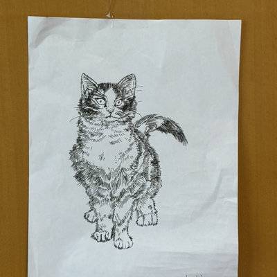 纪实模特