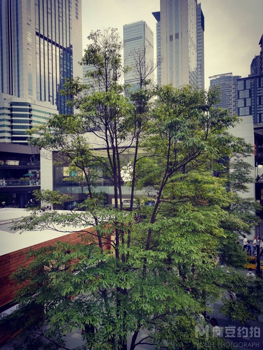 纪实模特