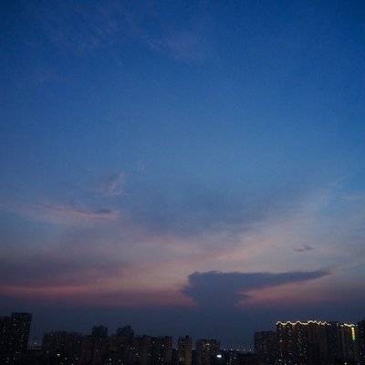 宝丽来模特