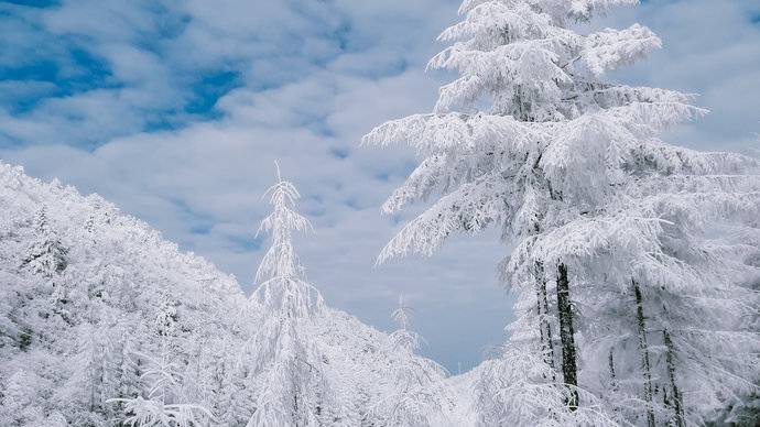 神农架雪景照片