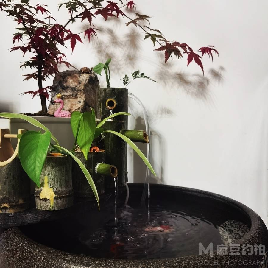 纪实模特
