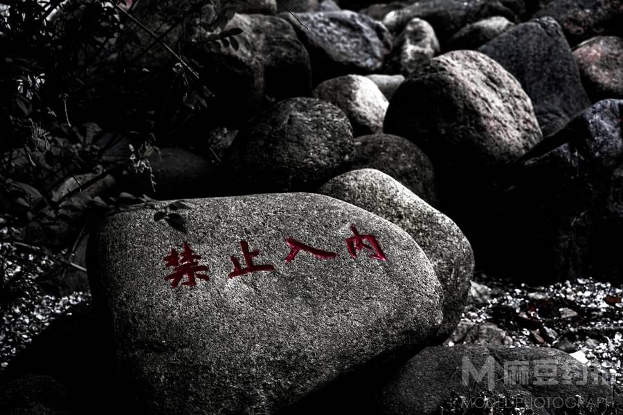 纪实模特