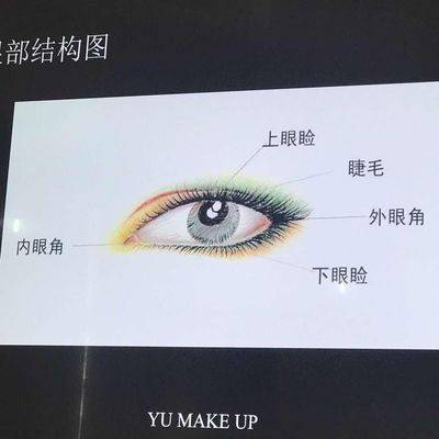 妆容模特
