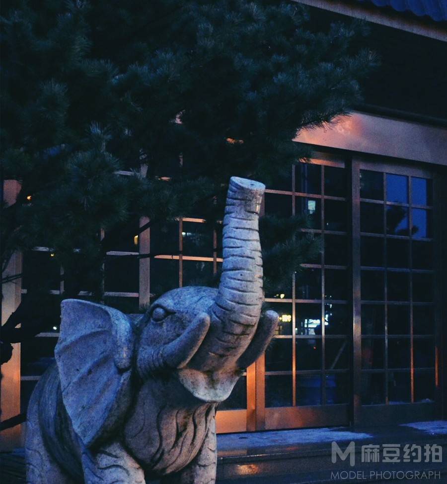 夜景模特