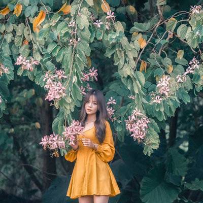 清新模特
