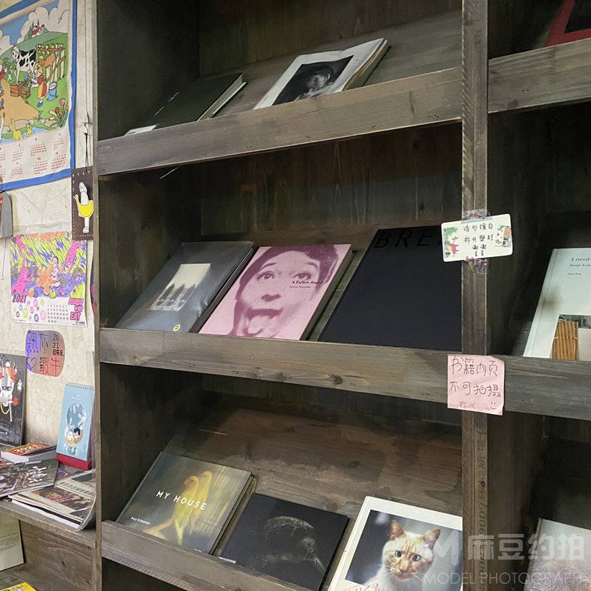 胶片模特