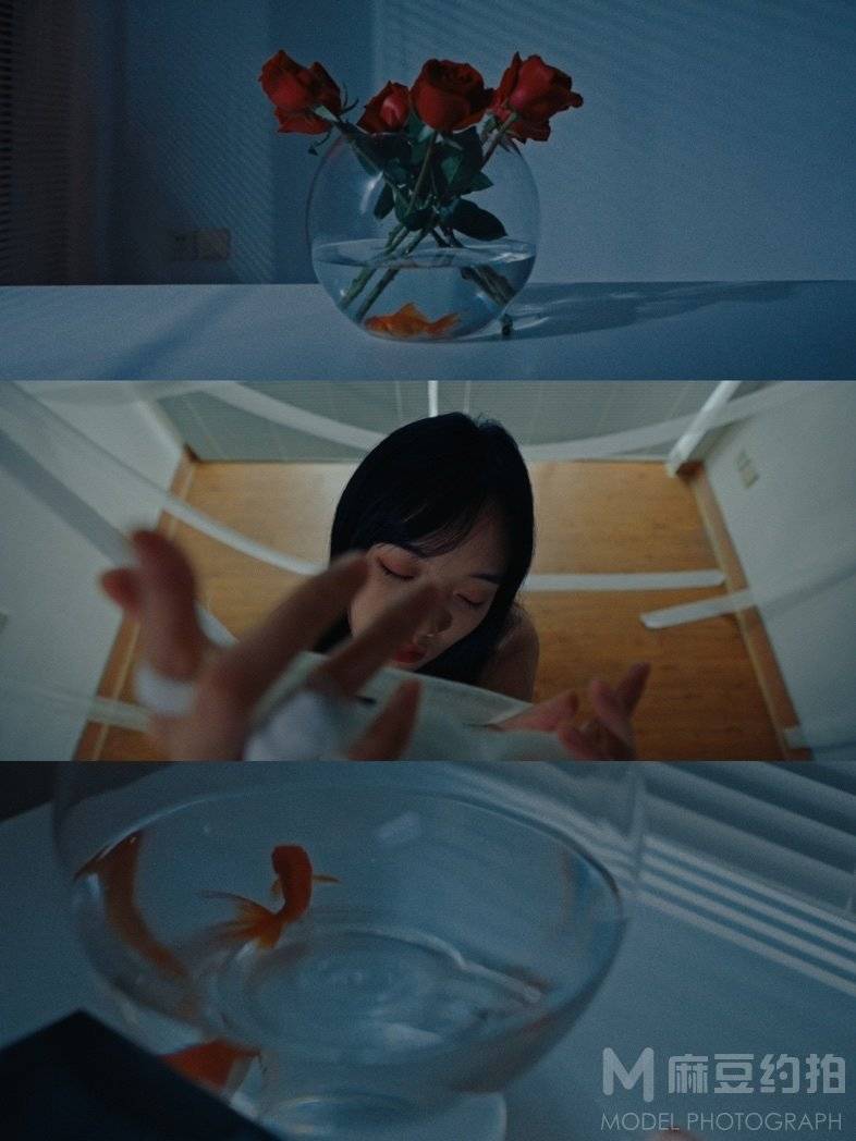 胶片模特
