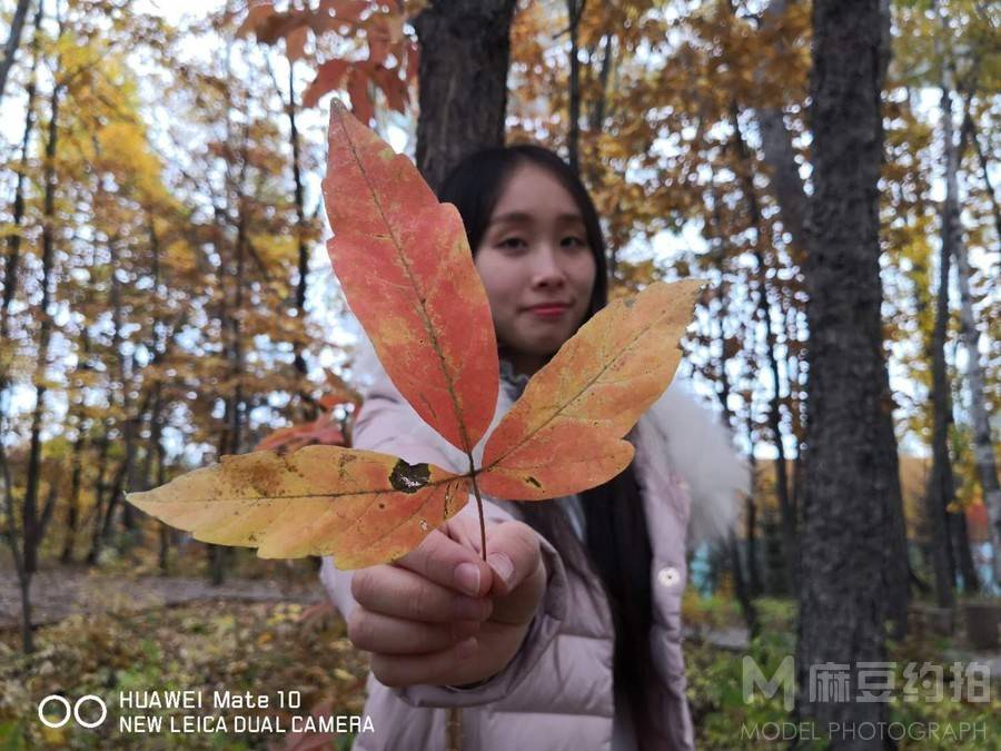 民国模特
