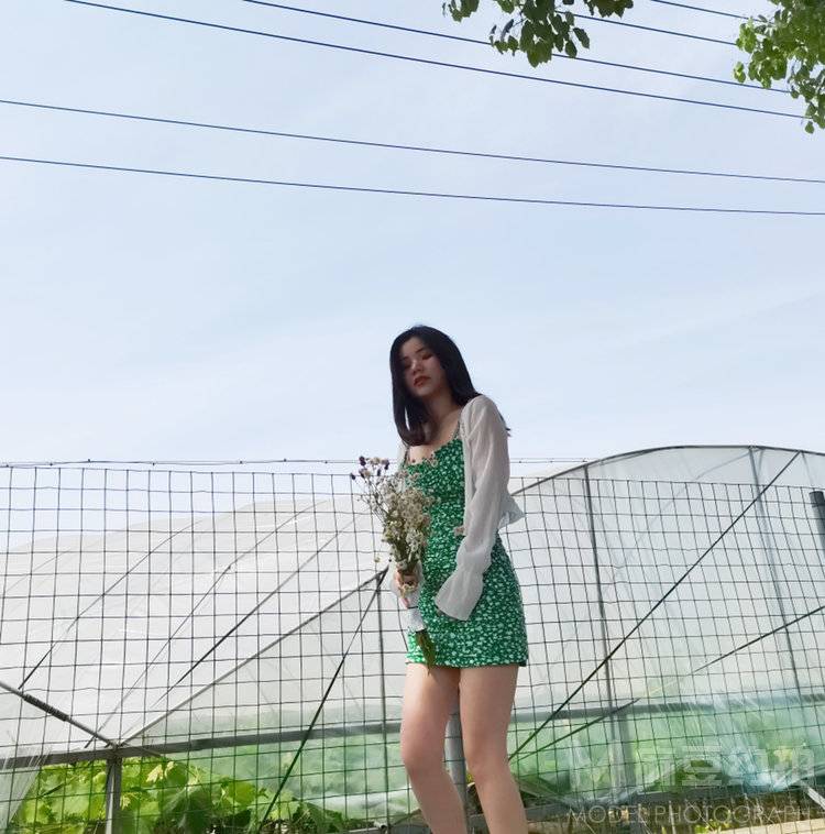 清新模特