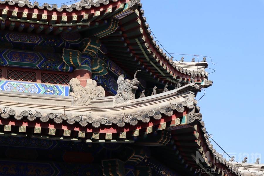胶片模特