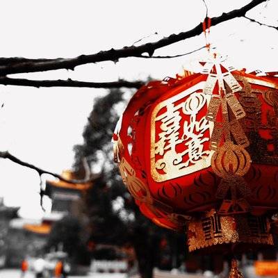 黑白模特