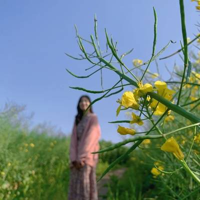 韩系模特