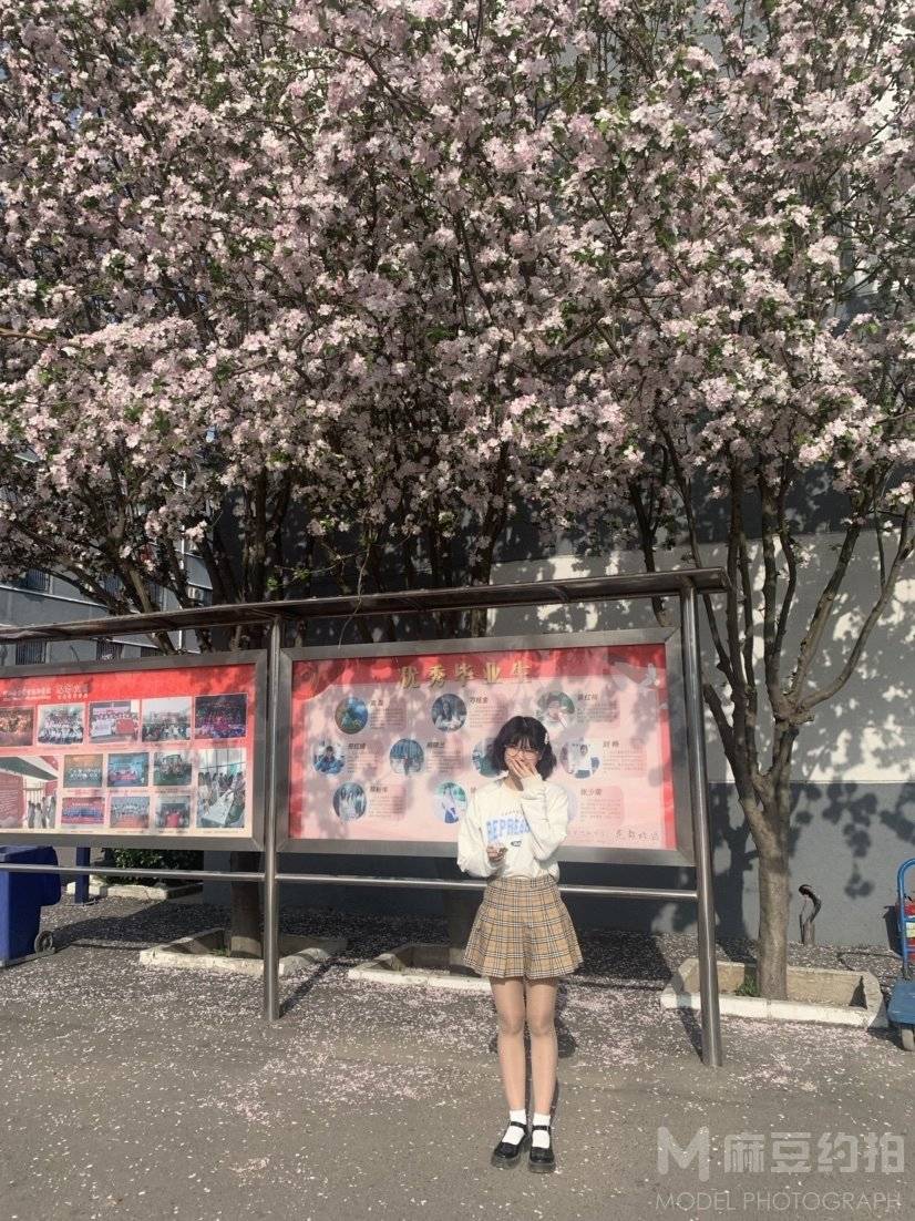 校园模特