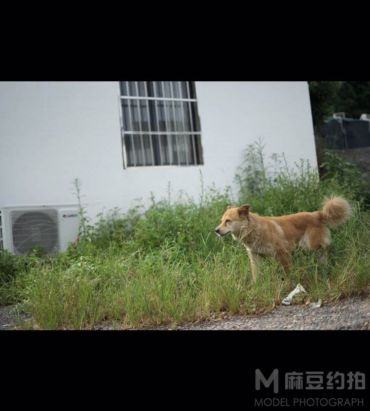 纪实模特